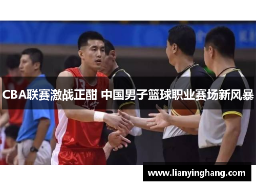 CBA联赛激战正酣 中国男子篮球职业赛场新风暴 CBA联赛激战正酣 中国男子篮球职业赛场新风暴